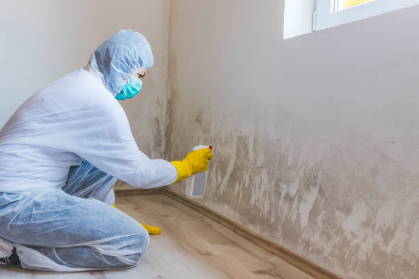 Licensed Crawl Space Mold Remediation service in West Orange, NJ - 24 Hour Mold Removal
