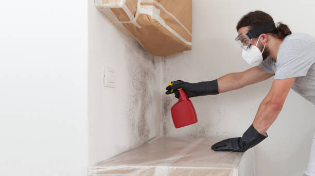 Professional Crawl Space Mold Remediation technician working in West Orange, NJ