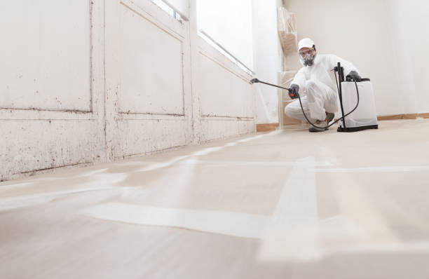 24/7 Emergency Crawl Space Mold Remediation experts in West Orange, NJ